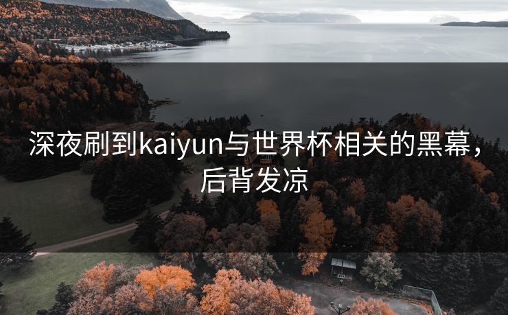 深夜刷到kaiyun与世界杯相关的黑幕，后背发凉