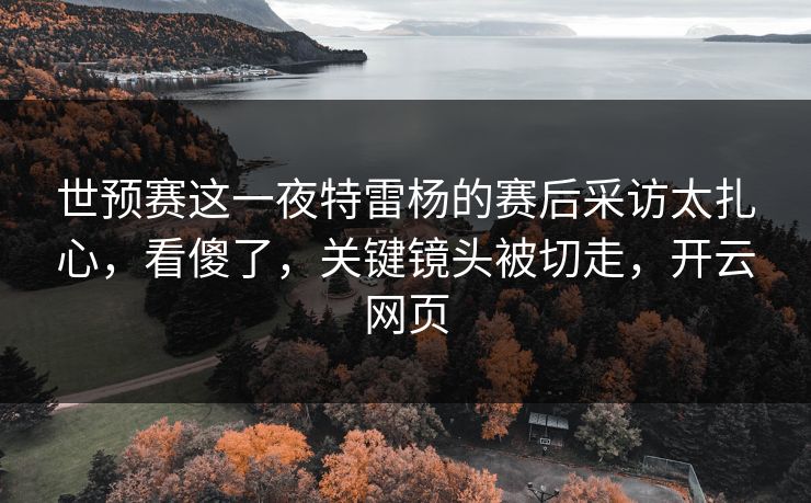 世预赛这一夜特雷杨的赛后采访太扎心，看傻了，关键镜头被切走，开云网页
